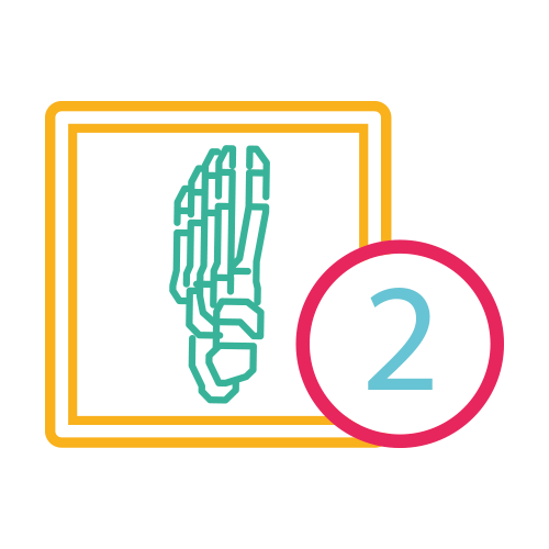 Pie 2 Proy. (Ap y Lat.)