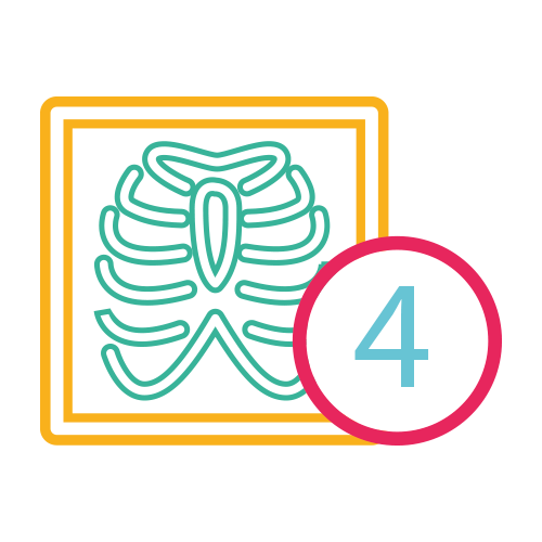 Tórax 4 Proyec. ( Ap, Lat y Obl. )