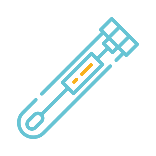 Epstein Barr Virus DNA