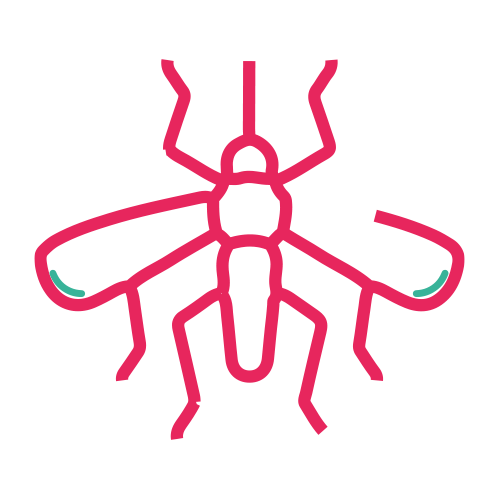 Ac. Anti - Dengue Virus IgG e IgM (NS1)