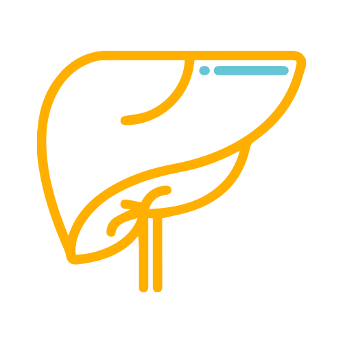 Bilirrubina Indirecta