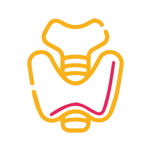 T3 Total ( Triyodotironina )