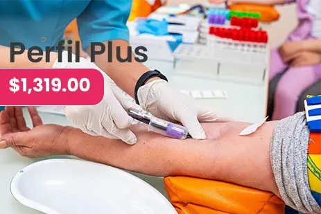 PERFIL PLUS